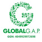 global